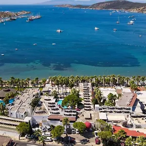 https://sami-beach-hotel.aegeanhotels.net